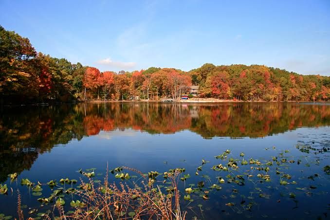 A lake surrounded by autumn trees