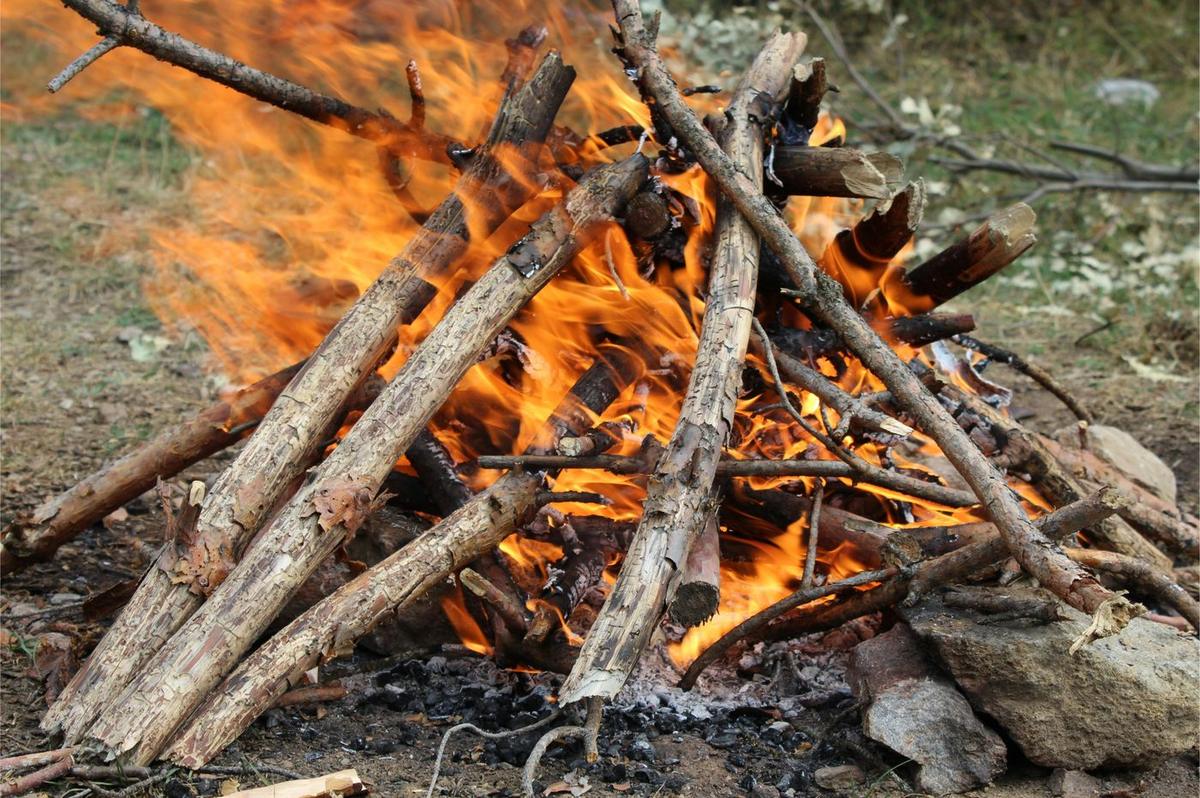 A campfire burning in a ring of stones